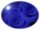 forumlogo