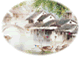 forumlogo