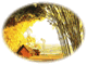 forumlogo